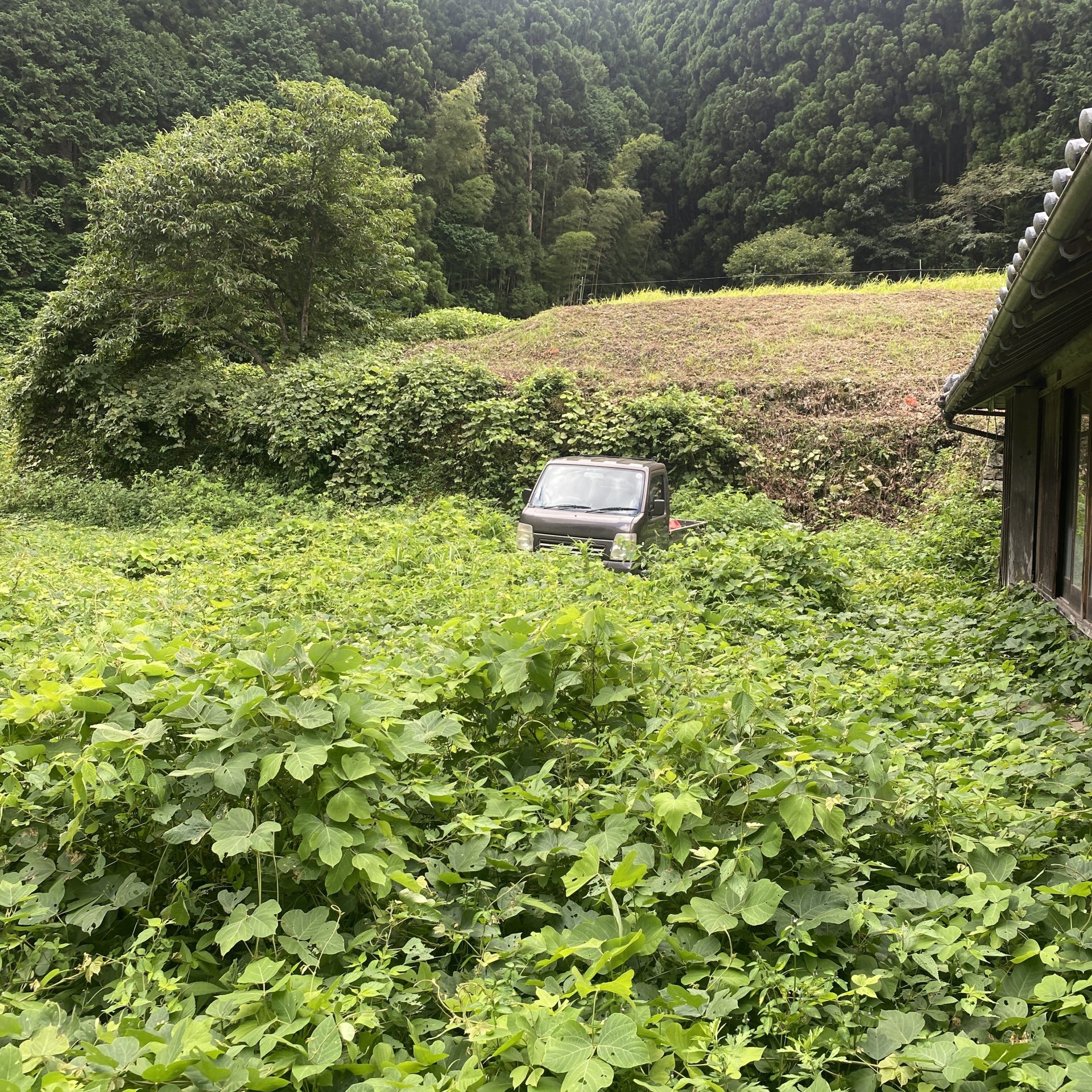 You are currently viewing 神崎郡　古民家の片付け