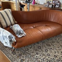 岡山市　デセデのソファ、買取りありがとうございました。