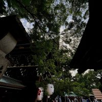 京都市　北野天満宮の骨董市に出店