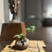 今年もあと少し、急ピッチで改装を進めております